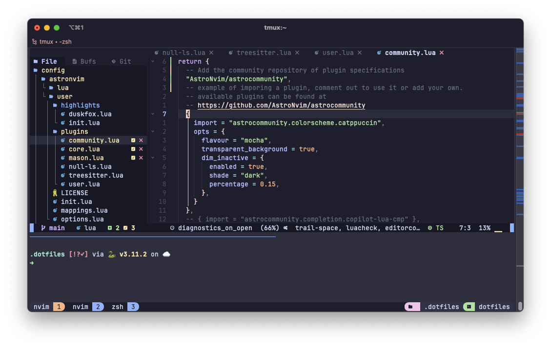 screenshot of tmux showing nvim