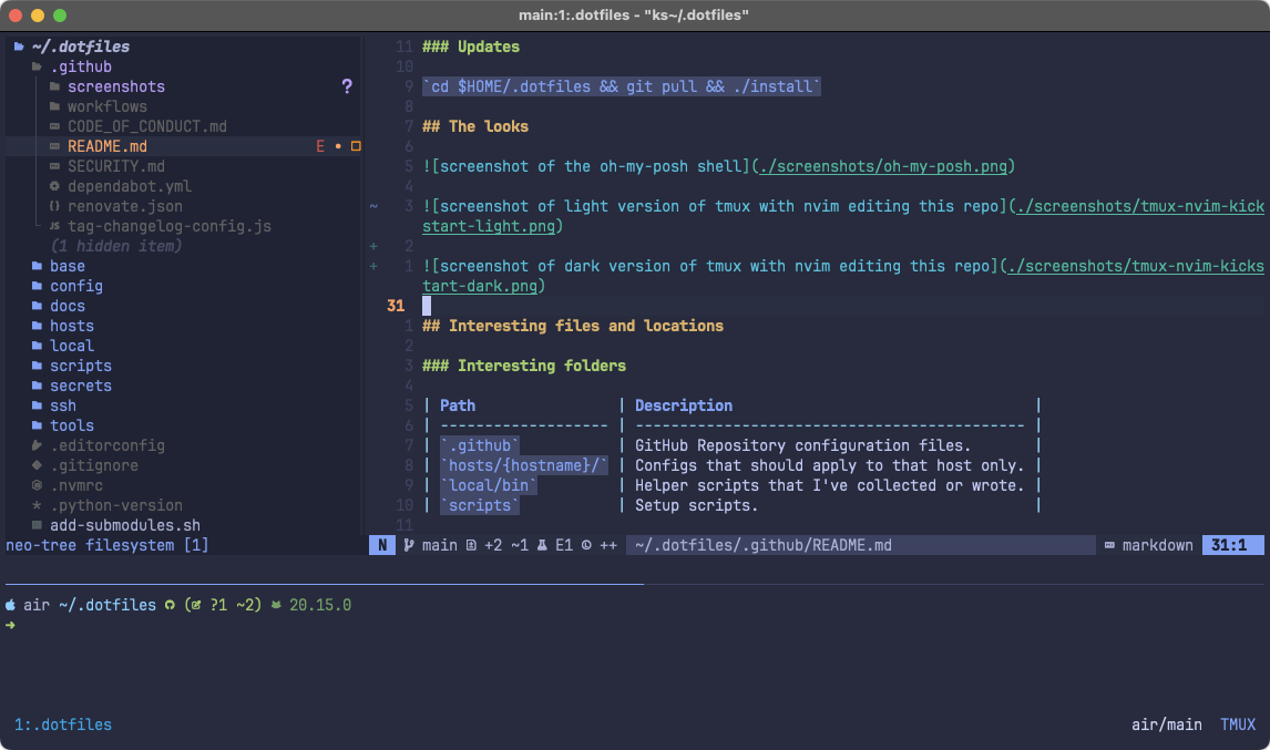 screenshot of dark version of tmux with nvim editing this repository