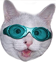 emoji/cat-goggles.png