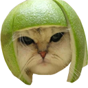 emoji/cat-with-hat.png