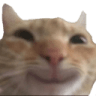 emoji/catsmile.png