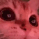 emoji/catsweet.gif