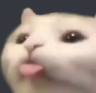 emoji/cattongue.png