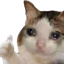 emoji/crythumbsup.png