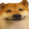 emoji/doge-face.png