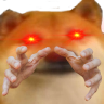 emoji/doge-hands.png