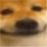 emoji/doge-near.png