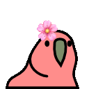 emoji/flowerparrot.gif