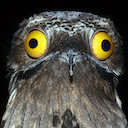emoji/potoo.png