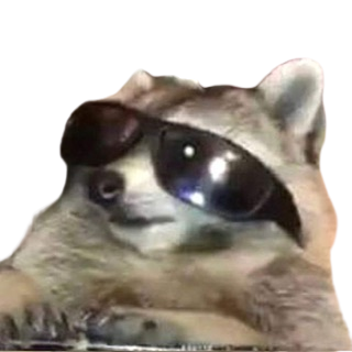 emoji/raccoon-shades.png
