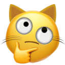 emoji/thinking_cat.png