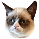 emoji/grumpycat.png