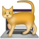 emoji/cat-on-keyboard.png