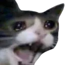 emoji/catscream.png