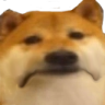 emoji/doge-sad.png