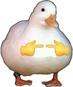 emoji/duck-1.png