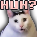 emoji/huhcat.png