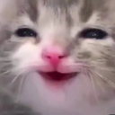 emoji/kitty-happy.png