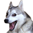 emoji/pundog.png