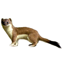 emoji/stoat.png