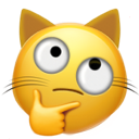 thinking_cat.png