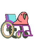 accessibleparrot