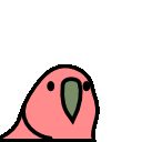 stableparrot