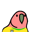 brazilianplayerparrot.gif