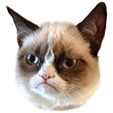 grumpycat