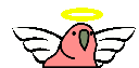 emoji/angelparrot.gif