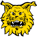 emoji/ilves.png