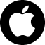 apple_inc.png