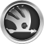 skoda.png