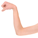 no-muscle.png