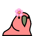 flowerparrot.gif